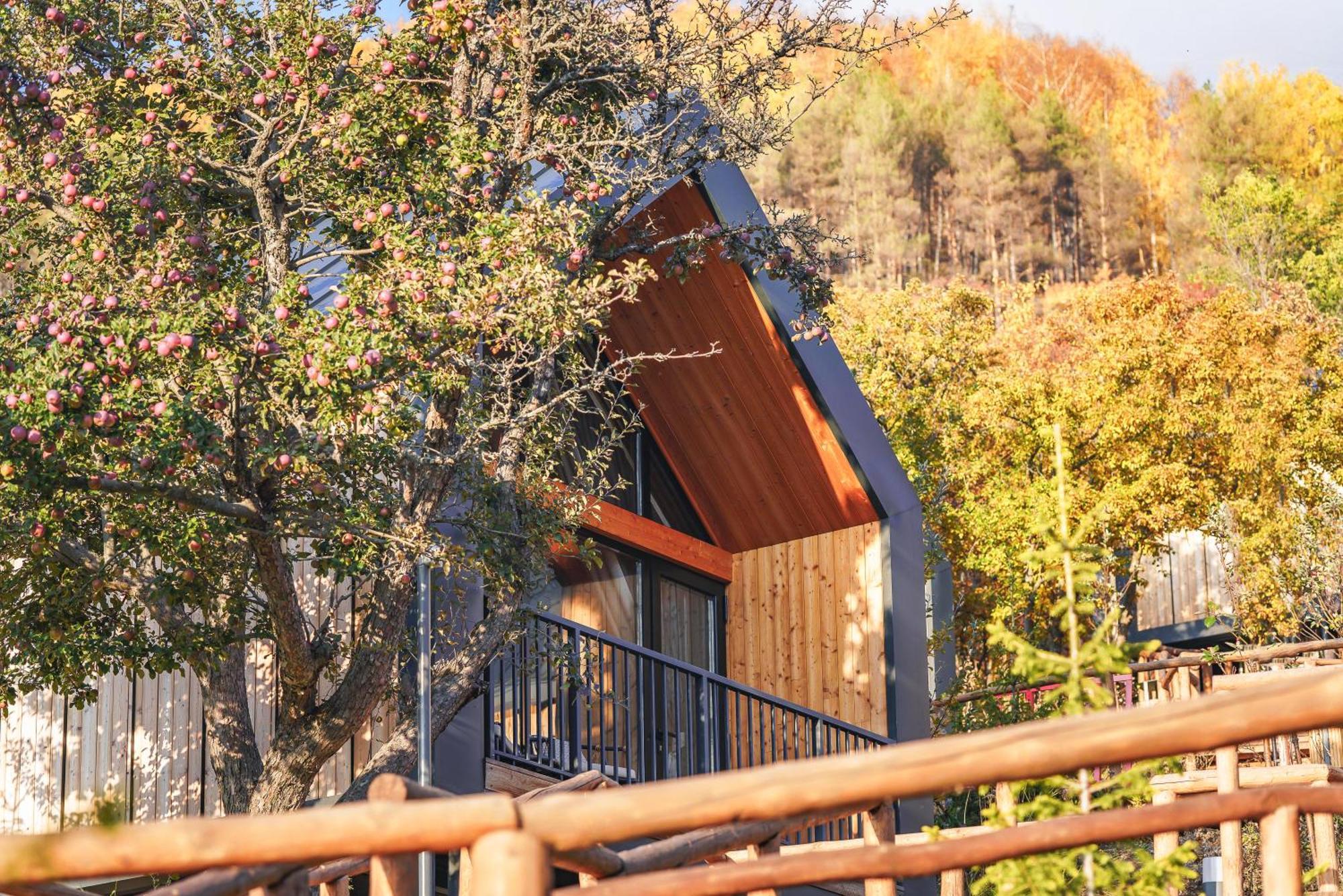 Qazaq Auyl Eco Hotel Almati Kültér fotó